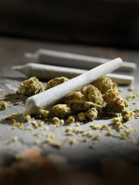 Pre-Rolled Marijuana Joints Pre-Rolled Marijuana Joints legalization stock pictures, royalty-free photos & images
