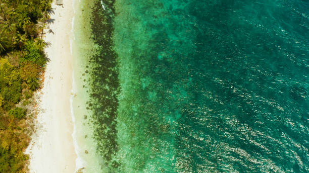 istock Tropical beach and blue clear sea 1203987106