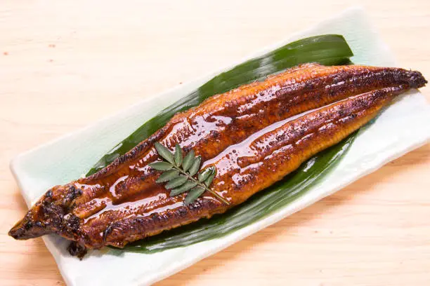 Unagi kabayaki