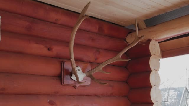 Large deer horns on a wooden log house