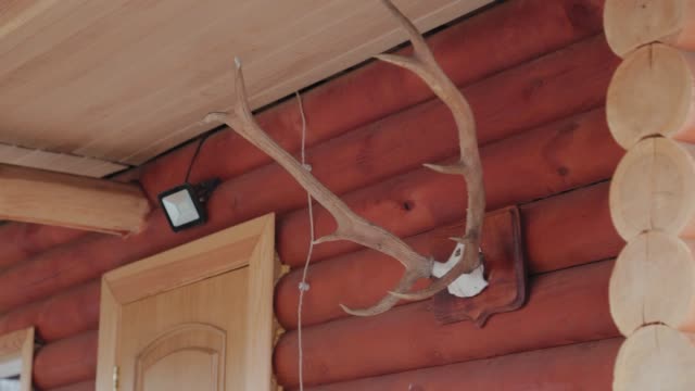 Large deer horns on a wooden log house