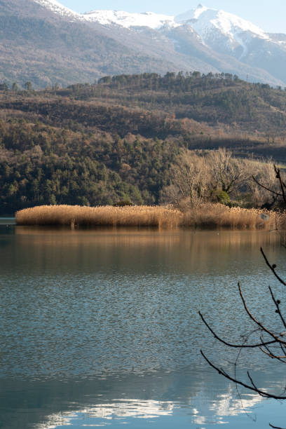 istock Winter in Trentino, Toblino lake 1203994921