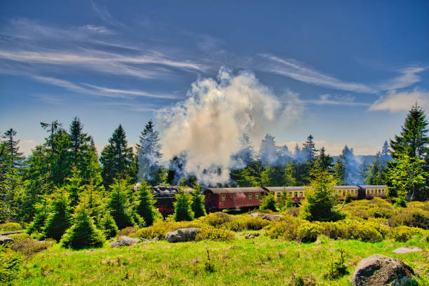 nationalpark harz -brocken / bahn - berg brocken stock-fotos und bilder