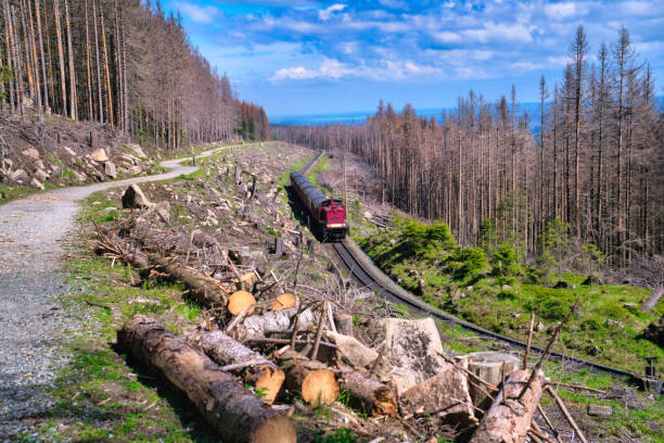 Looking at the Brocken Railway (German: Brockenbahn) who is very popular because they use historic steam trains on the Brocken Railway and have become very popular with thousands of tourists every year, offering convenient access to the top of the Brocken. The Brocken also sometimes referred to as the Blocksberg, is the highest peak of the Harz mountain range with 1,141 meters high. The Brocken has always played a role in legends and has been connected with witches and devils; Johann Wolfgang von Goethe took up the legends in his play Faust.