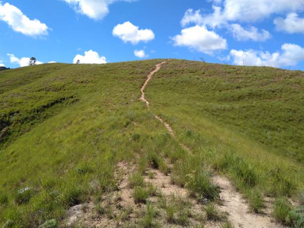 istock Mountain landscape with a trail in Venezuela 1203999949