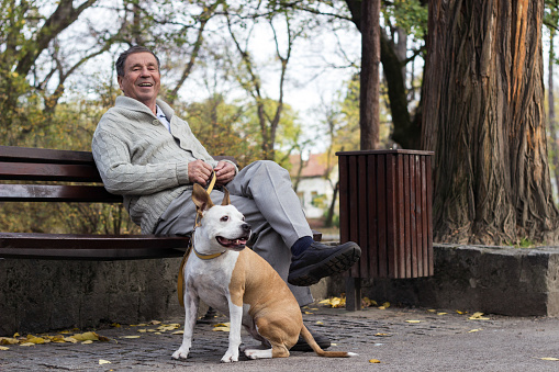 Portrait of a smiling senior man sitting on the bench with his dog, in the public park, outdoors. Old man with dog relaxing outdoors and looking at the camera. Portrait of elderly man enjoying retirement