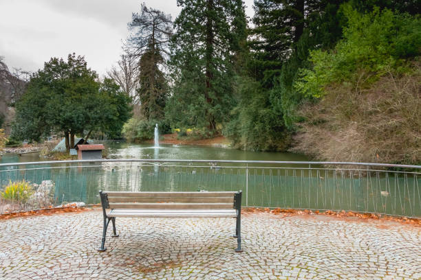 atmosphère paisible autour d’un petit étang avec des canards et un banc - bench forest pond autumn photos et images de collection