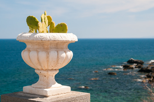 Ornamental cactus vase along the seafront of Acicastello, a village in the province of Catania, Sicily