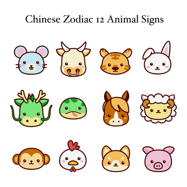 illustrations, cliparts, dessins animés et icônes de ensemble de zodiaque chinois mignon et kawai 12 signes animaux. vecteur de dessin animé isolé sur le fond blanc. - année du mouton