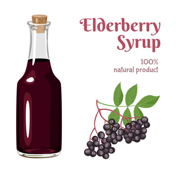 ilustrações de stock, clip art, desenhos animados e ícones de black elderberry syrup in glass bottle isolated on white background. branch with sambucus berries and green leaves. vector illustration in cartoon flat style. - tree isolated maple tree green