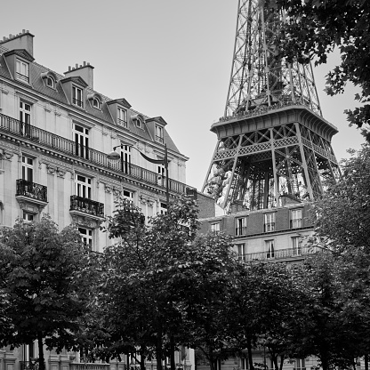 A grayscale vertical view of the Eiffel Tower from Pont Alexandre III Bridge in Paris, France