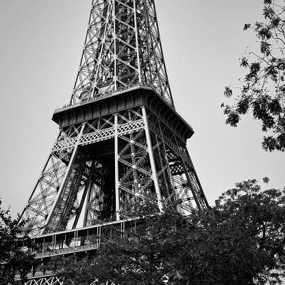 Eiffel Towerblack and white in Paris, France