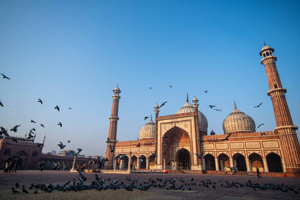 istock Jamia Masjid in Morning 1204009454