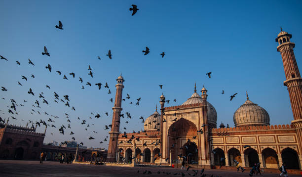 istock Jamia Masjid in Morning 1204009548