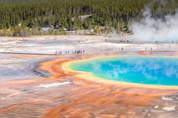 istock Overlook Grand Prismatic Spring Yellowstone 1204011477