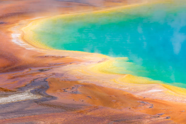 istock Closeup Grand Prismatic Spring Yellowstone 1204012009