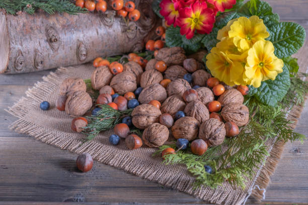 nuts, basket with sprinkled berries and flowers. Morning light falls on them