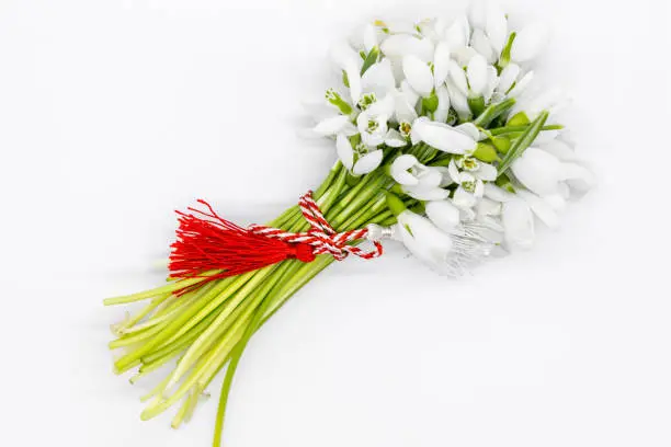 delicate snowdrops on white with red and white string martisor symbol 1st of march celebration concept