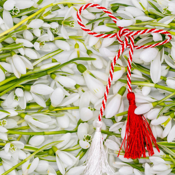 delicate snowdrops on white with red and white string martisor symbol 1st of march celebration concept