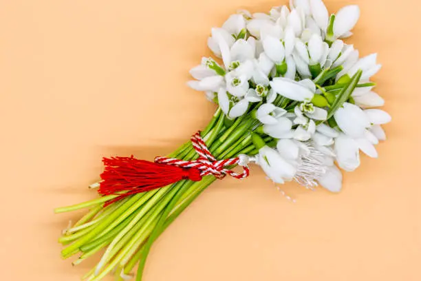 bouquet of snow drops tied with red and white string on pink background first of march celebration martisor