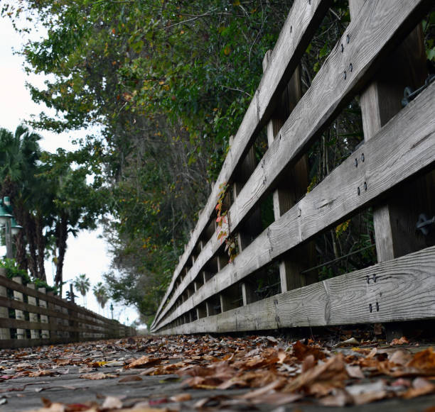 Wooden bridge in the forest.