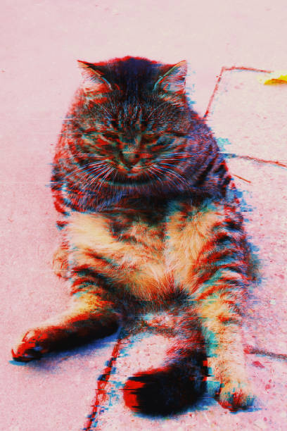 istock The tabby cat in the glitch effect. 1204019267
