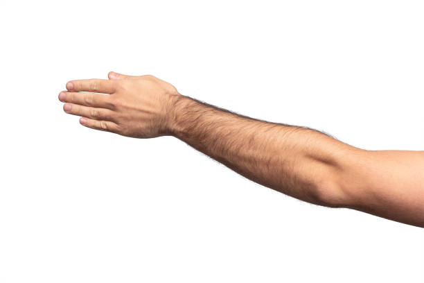 istock Hairy man hand showing a direction of moving isolated on white background 1204020306