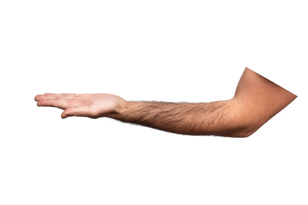 Hairy man hand with palm up isolated on white background
