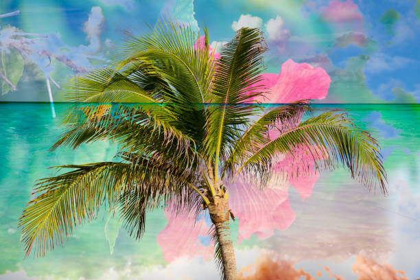 istock Palm trees stock photo 1204021595