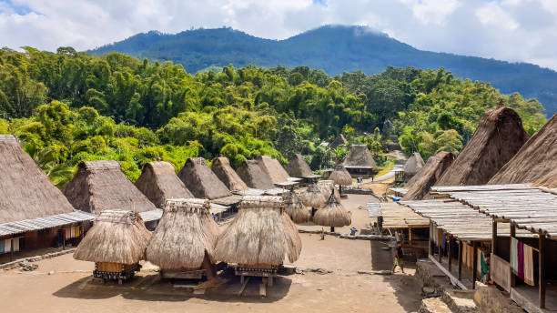 istock Bajawa - A traditional Bena village 1204021616