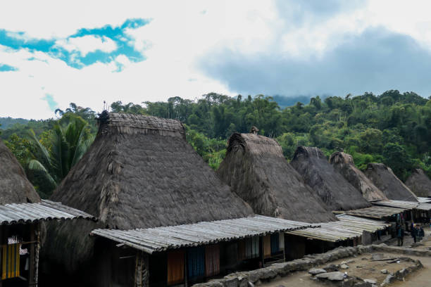 istock Bajawa - A traditional Bena village 1204021697