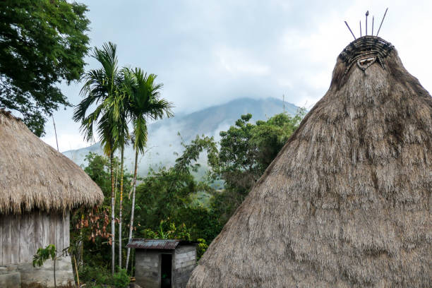 istock Bajawa - Inside the traditional Bena village 1204021862
