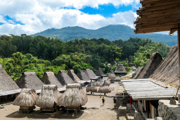 istock Bajawa - Inside the traditional Bena village 1204021920