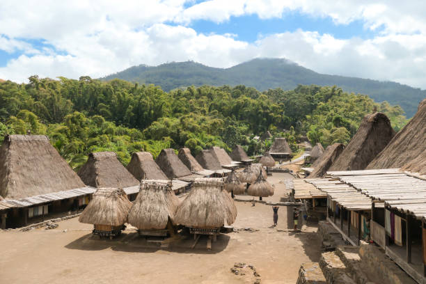 istock Bajawa - Inside the traditional Bena village 1204021948