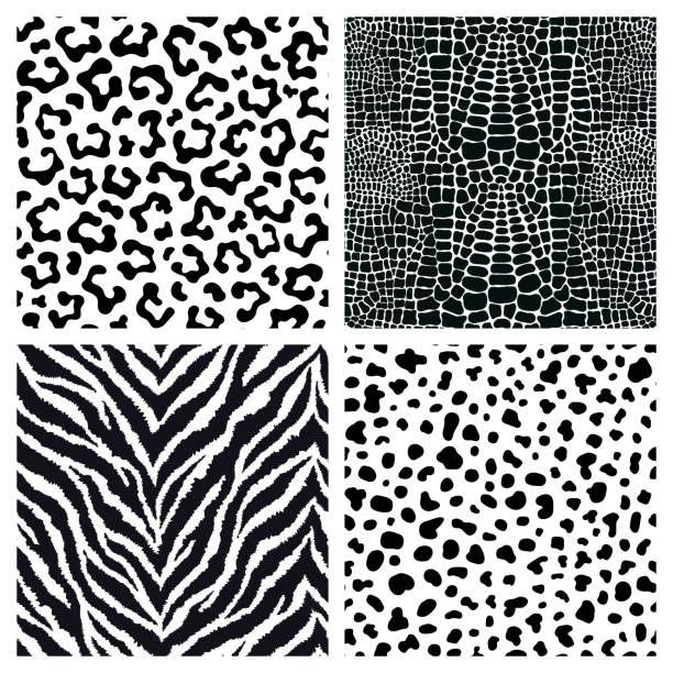 set von 4 schwarzen und weißen tierfell, haut nahtlose muster. exotische hintergründe. vektor-wallpaper. - animal skin stock-grafiken, -clipart, -cartoons und -symbole