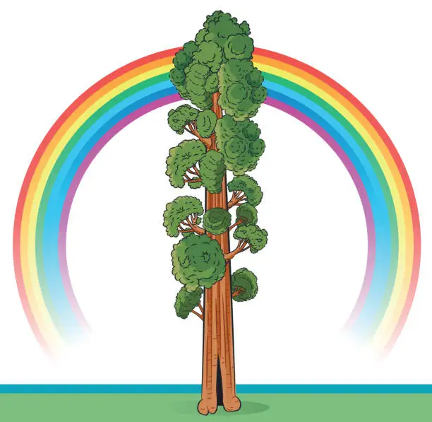 Vector illustration of Sequoia and Rainbow