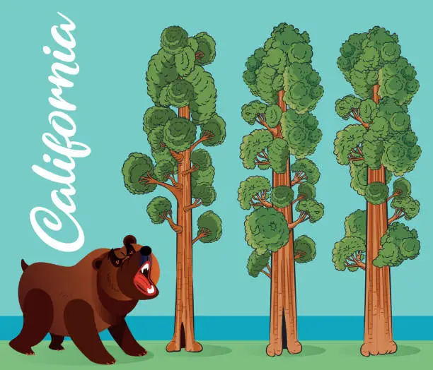 Vector illustration of Sequoia and California