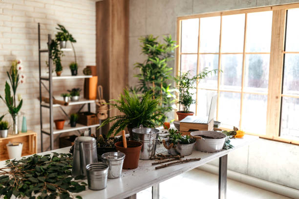 Potted plants and gardening equipment on table