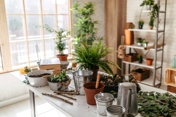 istock Potted plants and gardening equipment on table 1204025555