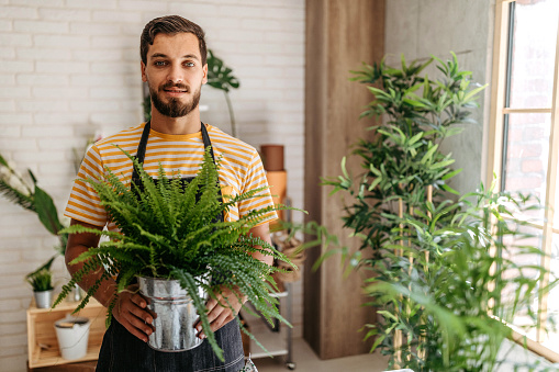 Portrait of young bearded entrepreneur with apron standing and holding potted plant in his home office