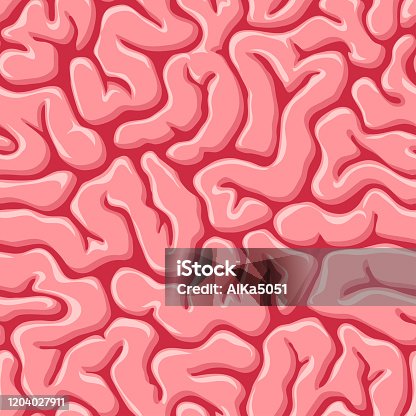Brain Texture Background Vector Brain Illustration Texture