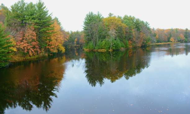 istock Placid Chippewa River Reflections - Brunet Island State Park 1204030575