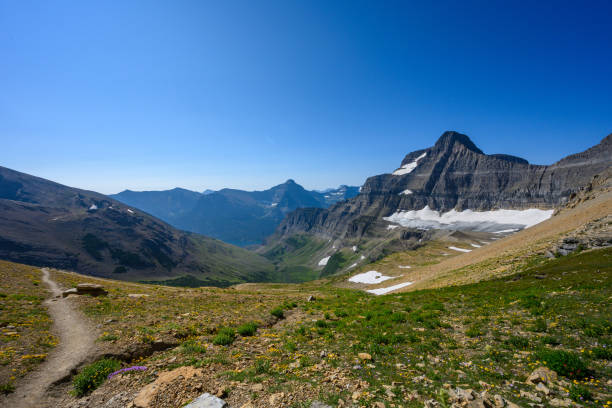 istock View From The Top of Siyeh Pass 1204030770