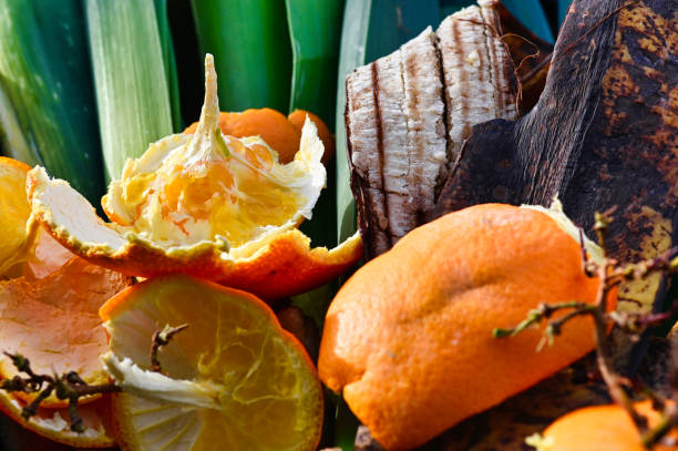 istock View into a bio container with organic wastes for recycling. 1204030798