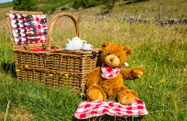 Teddy Bear's picnic.  One cute brown bear wearing a red and white neckerchief.  Sat in an English meadow in Summertime.  Traditional wicker basket with white china tea-set.  Horizontal. Space for copy.