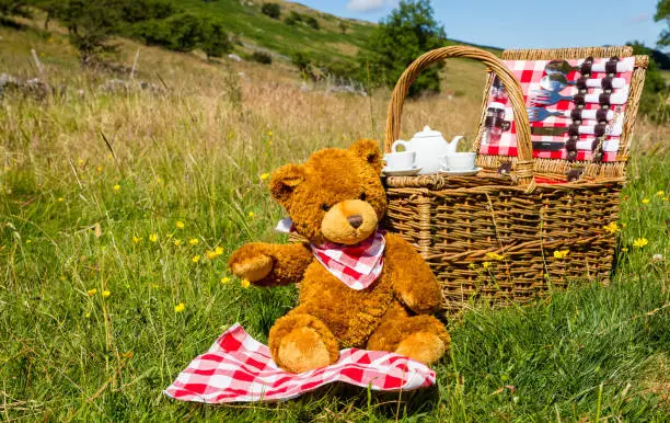 Teddy Bear's picnic.  One cute brown bear wearing a red and white neckerchief.  Sat in an English meadow in Summertime.  Traditional wicker basket with white china tea-set.  Horizontal. Space for copy.