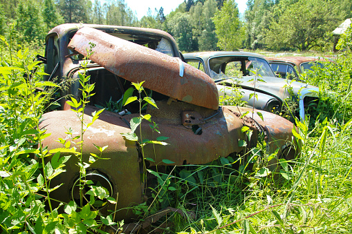 The abandoned car cemetery hidden deep in the Swedish woods. Nature is slowly taking control.
