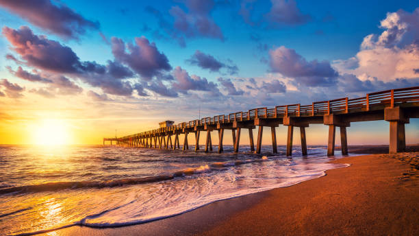 beach pier of venice while sunset, florida gulf coast states photos stock pictures, royalty-free photos & images
