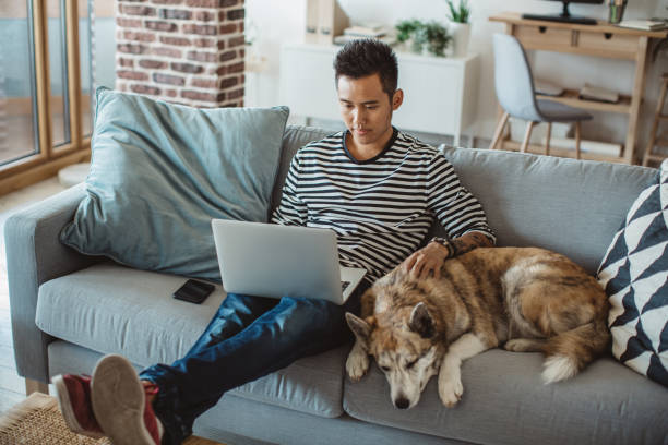 1,700+ Man Dog Sofa Laptop Stock Photos, Pictures & Royalty-Free Images -  iStock