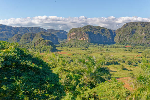 istock Hills landscape panorama in Vinales - Cuba 1204039168